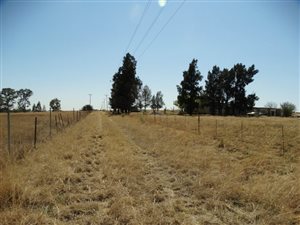 1 ha Land available in Lakeview