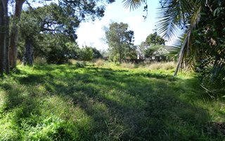 1141 m² Land available in Lake Brenton