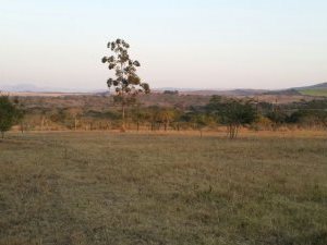 21 ha Farm in Empangeni