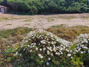 1000 m² Land available in Tergniet