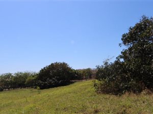 1136 m² Land available in Zinkwazi Beach