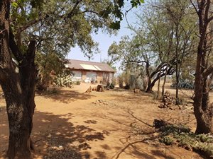 8.6 ha Farm in Zuurfontein