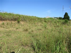 1440 m² Land available in Eshowe