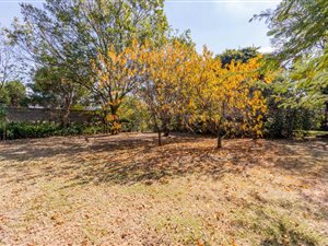 1000 m² Land available in Jacanlee