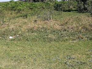 960 m² Land available in Veld En Vlei