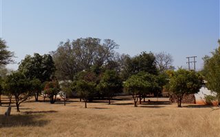 142 ha Farm in Groot Marico