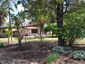 22 m² Farm in Phalaborwa