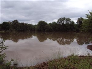 Game Farm in Phalaborwa