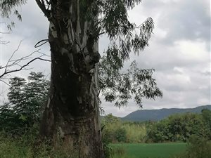 18 ha Farm in Brits