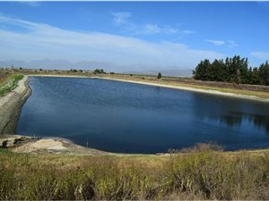 55 ha Farm in Northern Paarl