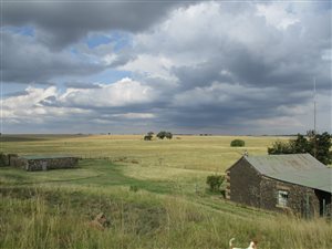 379 ha Farm in Oranjeville