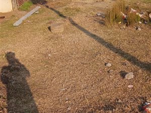 232 m² Land available in Eden Park
