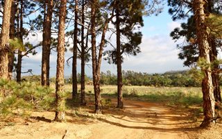 2 ha Land available in Firlands