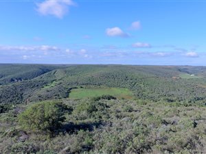 11 ha Land available in Uitenhage Central