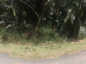 1284 m² Land available in Hibberdene