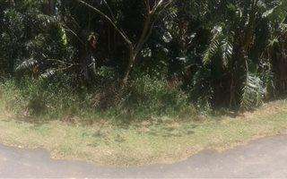 1284 m² Land available in Hibberdene