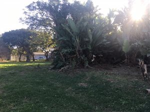 1017 m² Land available in Mtwalume