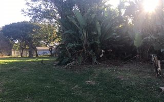 1017 m² Land available in Mtwalume