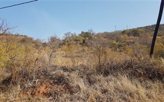 1009 m² Land available in Presidentsrus