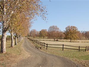 18 ha Farm in Richmond