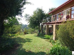 10 Bed House in Eureka