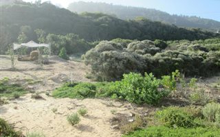 592 m² Land available in Glentana