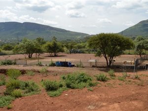 2 ha Farm in Rietfontein