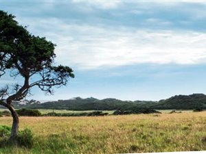787 m² Land available in Kenton-on-Sea