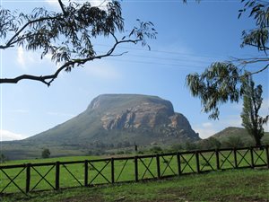 Game Farm in Harrismith