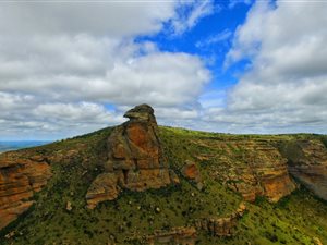 Game Farm in Harrismith