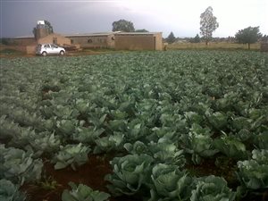 2.2 ha Smallholding in Dreamlands