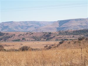 1250 ha Farm in Newcastle Central