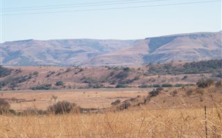 1250 ha Farm in Newcastle Central
