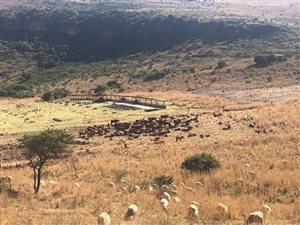1250 ha Farm in Normandien