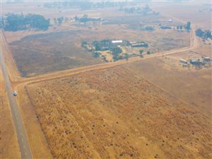 2 ha Land available in Nelsonia