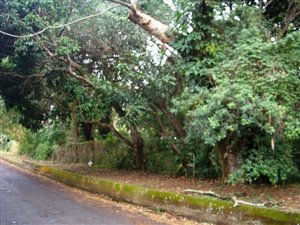 5518 m² Land available in Southport
