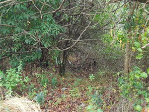1115 m² Land available in Hibberdene