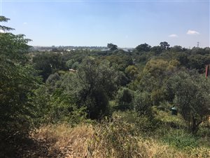 703 m² Land available in Helderfontein Estate