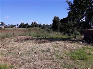 1115 m² Land available in Graskop