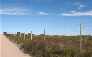 18.4 ha Land available in Hopefield