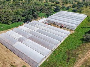 60 ha Farm in Kameelfontein and surrounds
