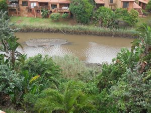 0.5 Bed House in San Lameer