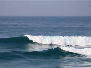 1009 m² Land available in Tinley Manor Beach