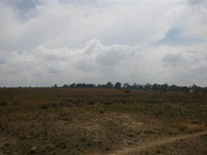 8 m² Land available in Diepsloot