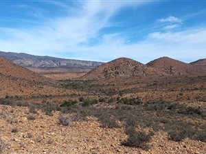 402 ha Farm in Steytlerville