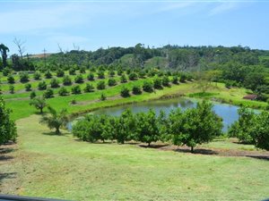 8.5 ha Farm in Glenmore
