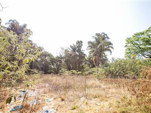 3969 m² Land available in Houghton Estate