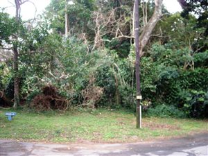 2001 m² Land available in Umtentweni