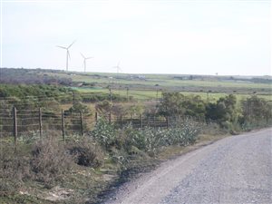 17.5 ha Farm in Humansdorp