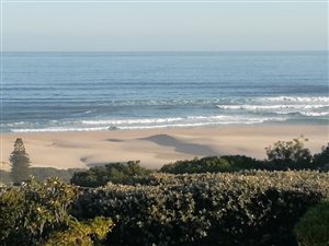831 m² Land available in Oyster Bay
